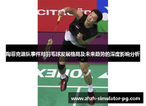 陶菲克退队事件对羽毛球发展格局及未来趋势的深度影响分析